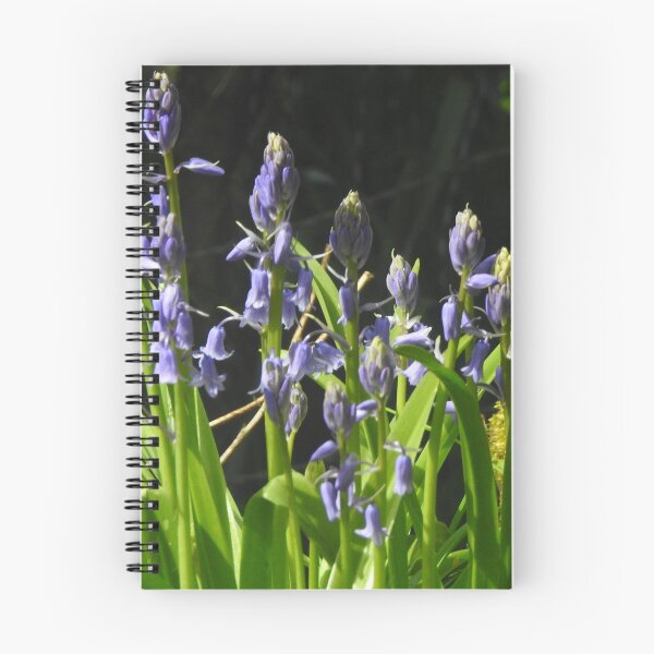 Item preview, Bluebells in shadow designed and sold by keithmilligan.