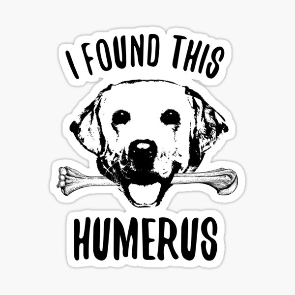 "Yellow Lab Funny Labrador Retriever Gift" Sticker for Sale by