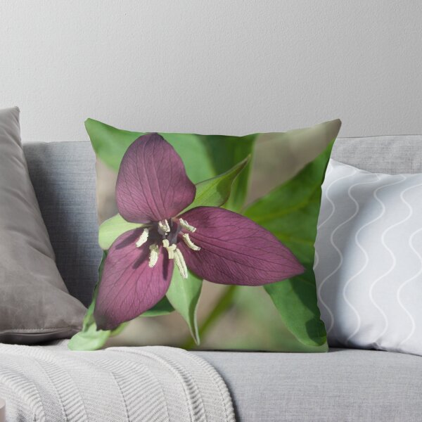 Item preview, Vermont. Estados Unidos designed and sold by srwdesign.