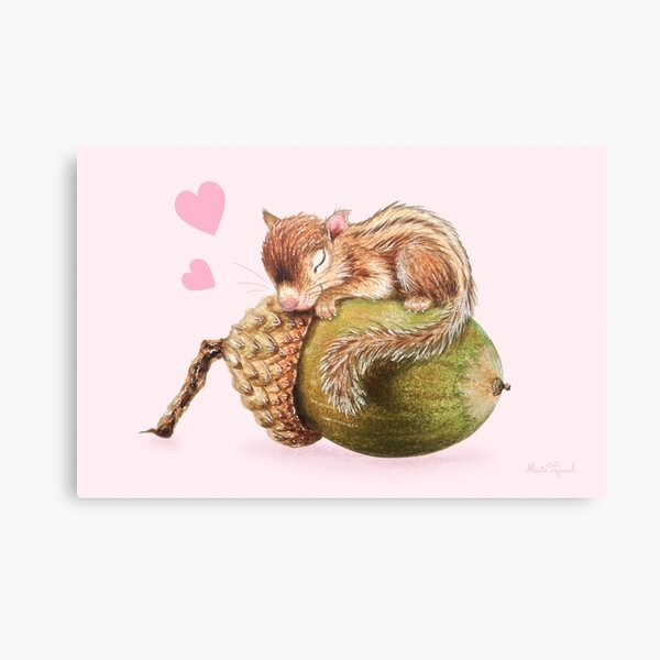 Nap time by Maria Tiqwah Canvas Print