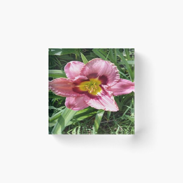 Always Afternoon Day Lily Acrylic Block