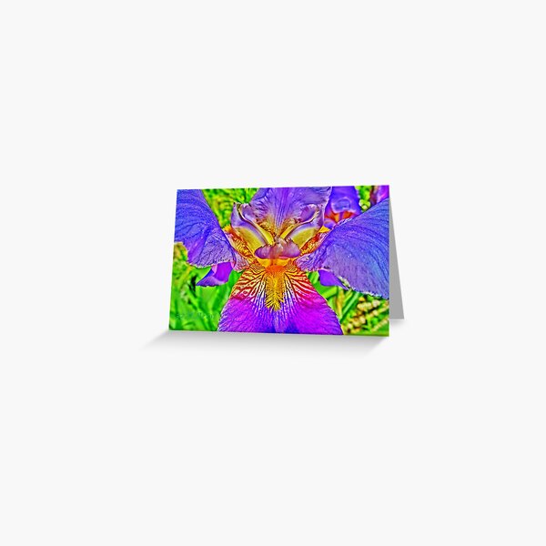 Flight of the Iris Bee, 2 of 4 Greeting Card