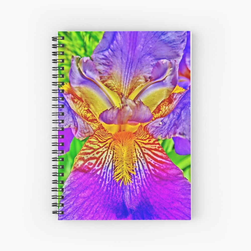 Flight of the Iris Bee, 2 of 4 Spiral Notebook