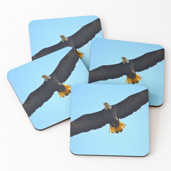 Item preview, Eagle in the Sun... designed and sold by RichImage.