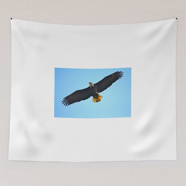 Item preview, Eagle in the Sun... designed and sold by RichImage.