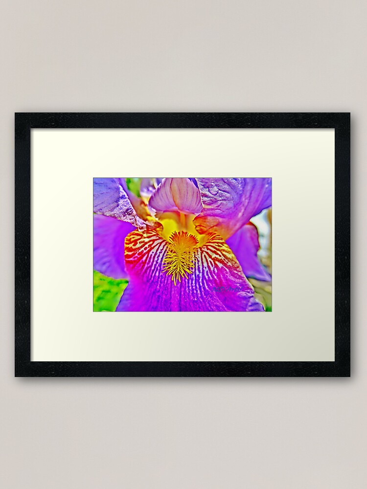 Alternate view of Flight of the Iris Bee, 3 of 4 Framed Art Print