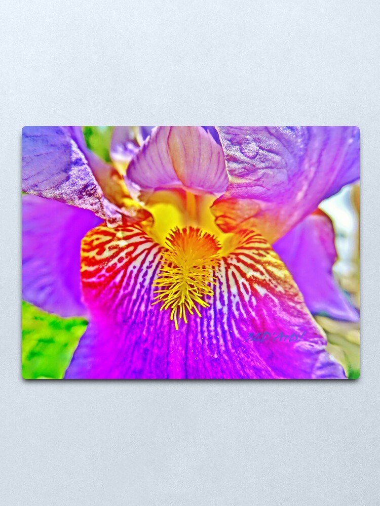 Alternate view of Flight of the Iris Bee, 3 of 4 Metal Print