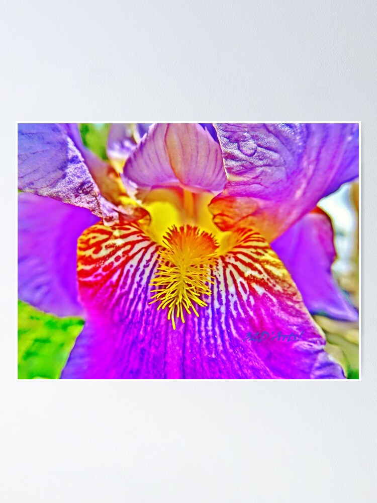 Alternate view of Flight of the Iris Bee, 3 of 4 Poster