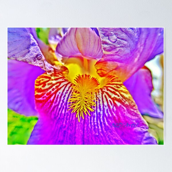 Item preview, Flight of the Iris Bee, 3 of 4 designed and sold by 32DARTS.