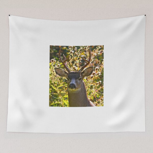 Item preview, Portrait of the Black Tailed Buck... designed and sold by RichImage.