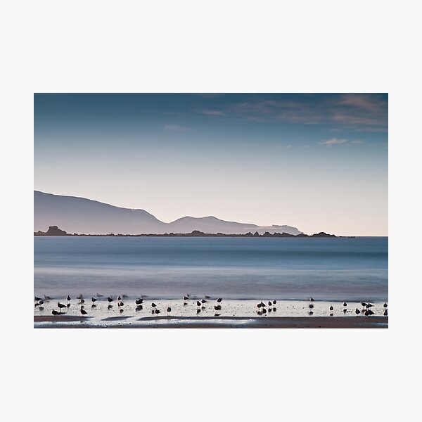 Item preview, Gull Beach designed and sold by John Violet.