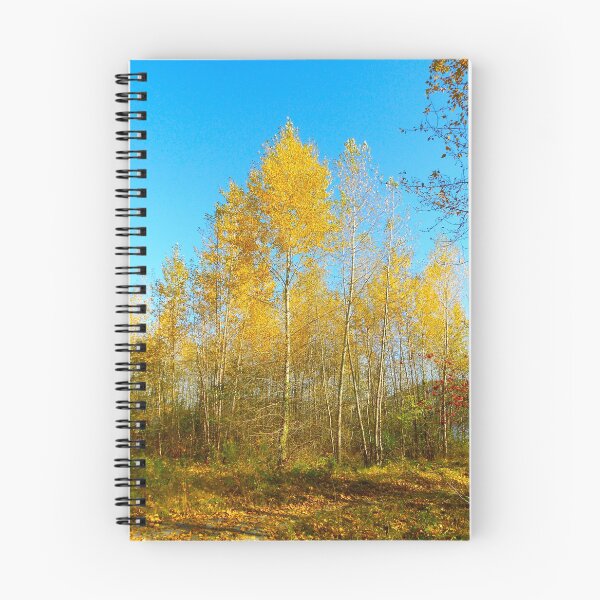 Item preview, Autumn in Maplewood Flats... designed and sold by RichImage.