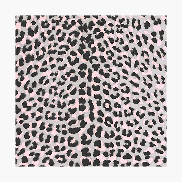 leopard cheetah Photographic Print