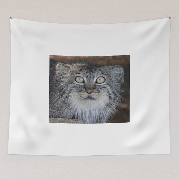 Item preview, Pallas Cat designed and sold by Holmewood.