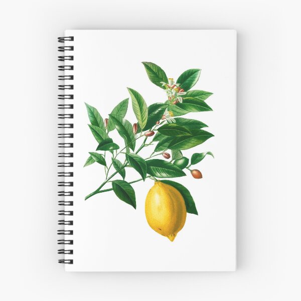 Item preview, Lemon and Green Leaves Vintage Illustration designed and sold by littleprints.