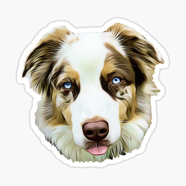 Red Merle Australian Shepherd Head Sticker