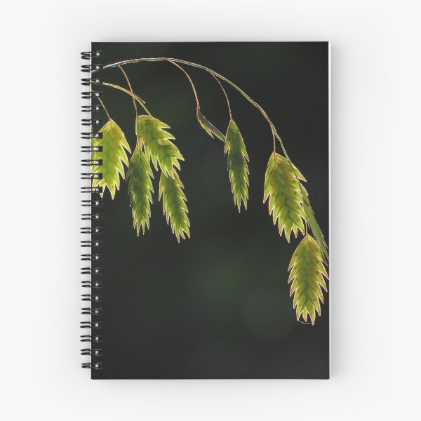 Item preview, Illuminated Seeds designed and sold by Roger Easley.