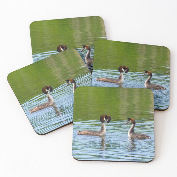 Item preview, Dancing Great Crested Grebes designed and sold by iCimages.net.