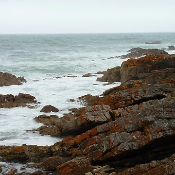 Artwork thumbnail, Orange Rocks by Elli Wilson