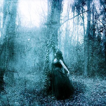 Artwork thumbnail, Image of Enchantment by KatarinaSilva