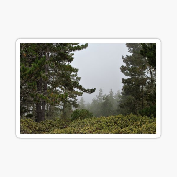 Fog in the Distance Sticker