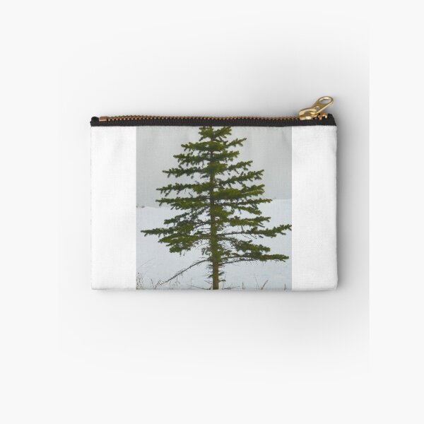 Artikelvorschau, Single Winter Pine Tree entworfen und verkauft von Diane Trummer Sullivan.