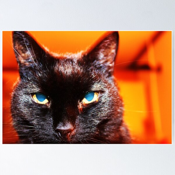 Item preview, You Talkin' Ta Me?  designed and sold by J J  Everson.