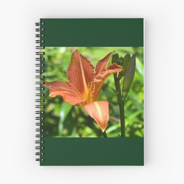 Item preview, Orange Lily at Nothe Fort, Weymouth, Dorset UK designed and sold by lynn carter.