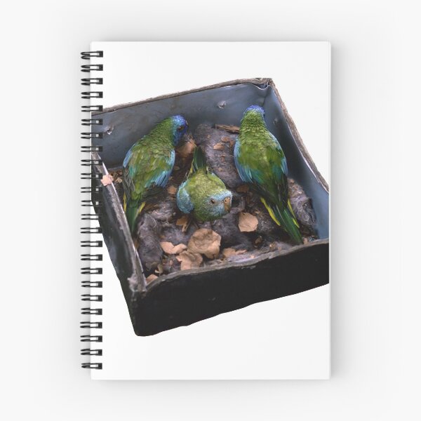 Item preview, bird box birds - netflix movie film memes designed and sold by isadroz.