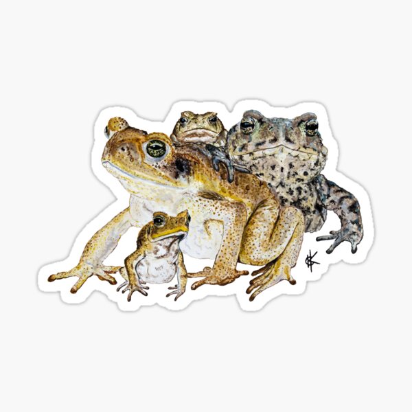 The Toads Sticker