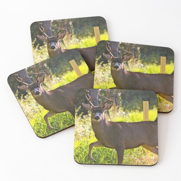 Item preview, Strutting Black tailed buck.... designed and sold by RichImage.