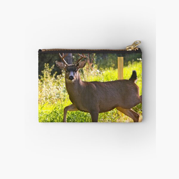 Item preview, Strutting Black tailed buck.... designed and sold by RichImage.