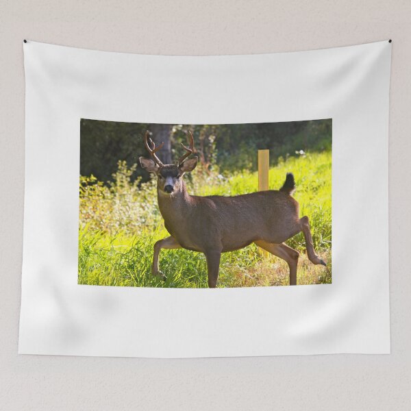 Item preview, Strutting Black tailed buck.... designed and sold by RichImage.