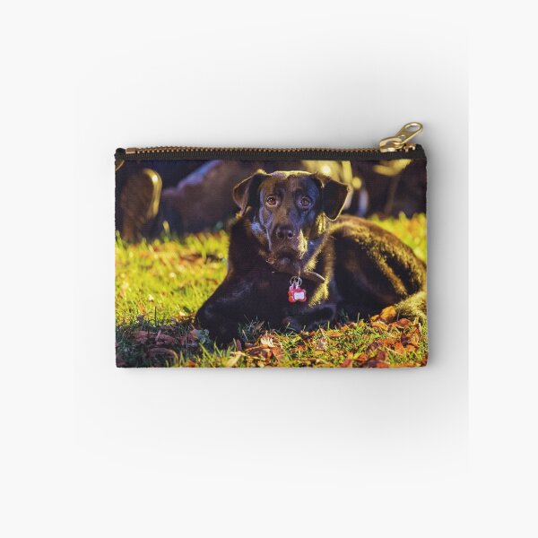 Item preview, Chilling black dog designed and sold by Martin Kleist.