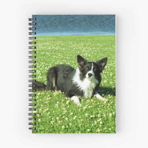Item preview, Bob in the Daisies designed and sold by Michael Haslam.