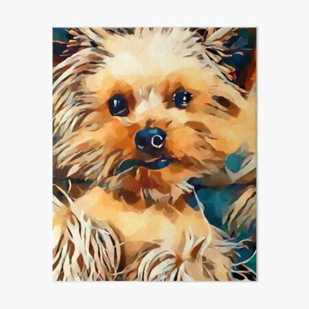 Lamina Rigida Collage De Yorkshire Terrier De Barbbarcikkeith Redbubble