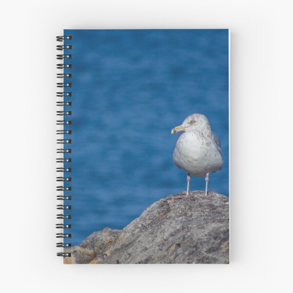 Item preview, Chillin' Gull designed and sold by jbritten.