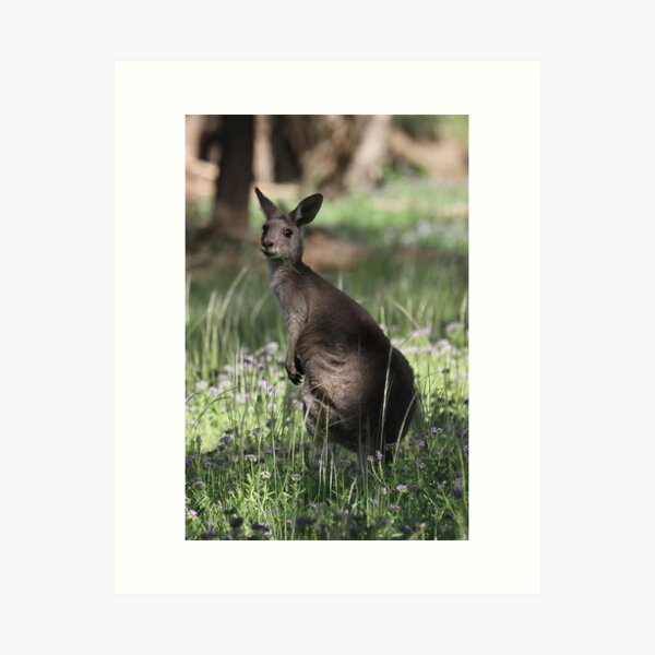 Item preview, Grazing designed and sold by Tainia Finlay.