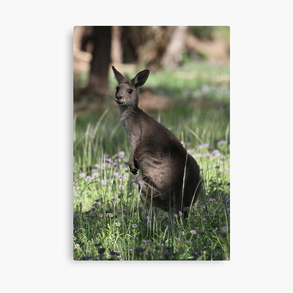 Item preview, Grazing designed and sold by Tainia Finlay.