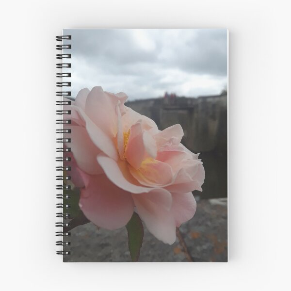 Item preview, Flower Overlooking a Bridge designed and sold by Paint-ed.
