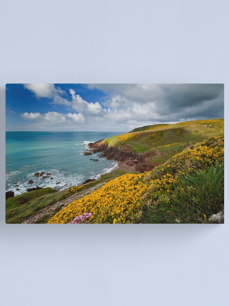 "Pembrokeshire Coast Path" Canvas Print by Viking60 Redbubble