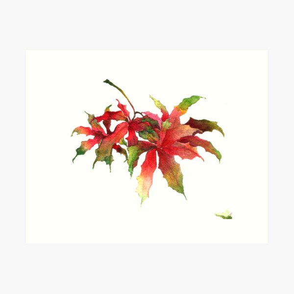 Maple leaves 01 Art Print