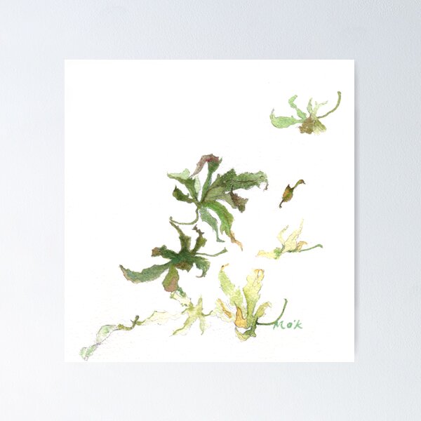 Maple leaves 02 Poster