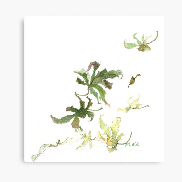 Maple leaves 02 Canvas Print