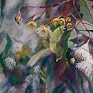 Ironbark Blossom by Lynda Robinson