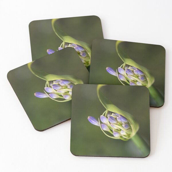 Item preview, Daydreaming Agapanthus designed and sold by Joy Watson - Natural Light Photography .