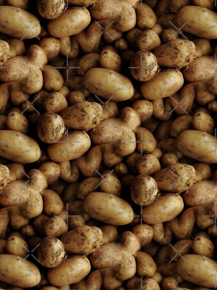 Spuds Forever (pattern) by Yampimon