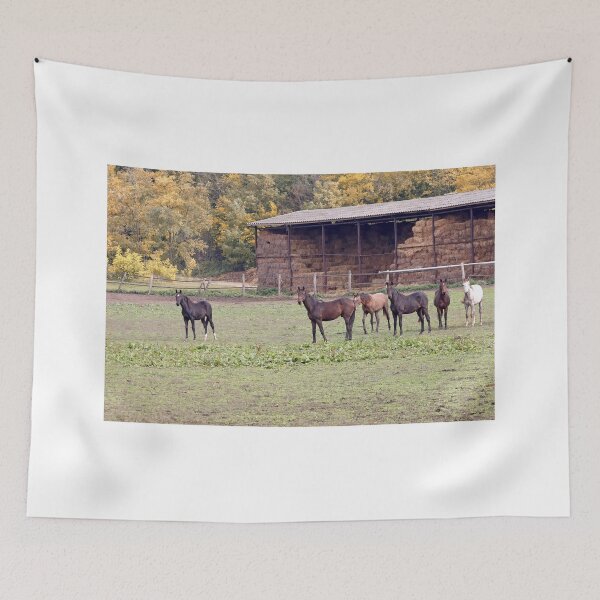 Item preview, horses on the farm autumn season designed and sold by goceris.