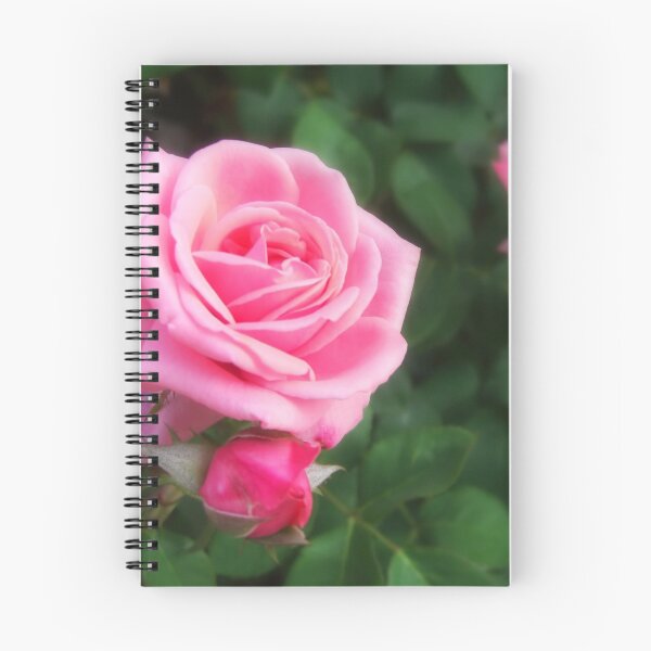Item preview, Pink Roses in Anzures 1 designed and sold by TravelPhotoArt.
