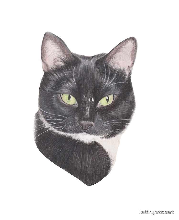 Color Drawing Art Of A Cat PNG Images | JPG Free Download - Pikbest